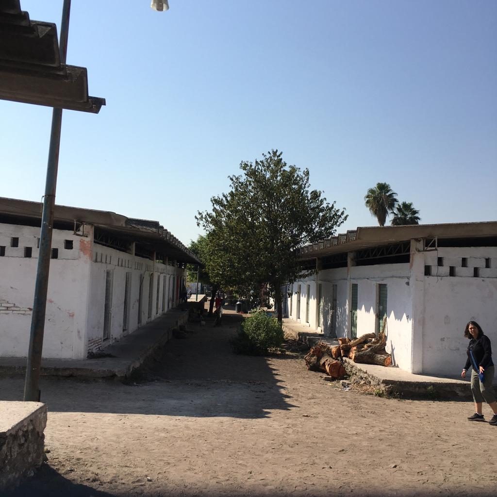 Vista general de la escuela migrante